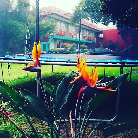 Hotel Las Fumarolas De Don Goyo Cholula Exteriér fotografie